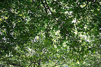 多人劫掠游戏《坏兽联盟：劫掠模拟器》4月5日发售